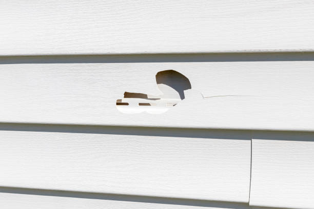 Best Shed Removal  in Port Barre, LA